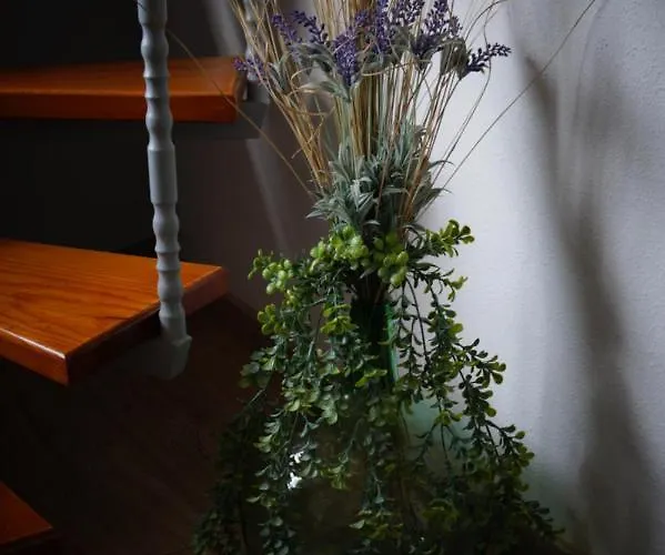 Casa Teide Holiday home La Orotava