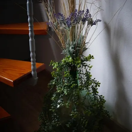 Casa Teide בית נופש לה אורוטבה